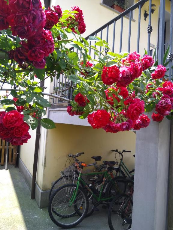 B&B NONO TILIO room 1